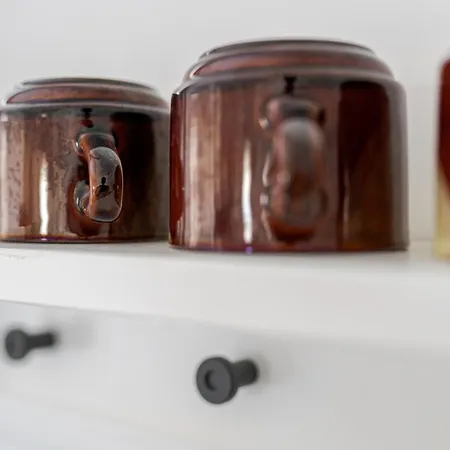 Lexi With Evcharger *