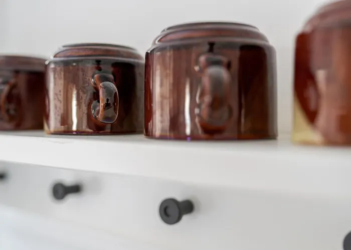 Lexi With Evcharger *